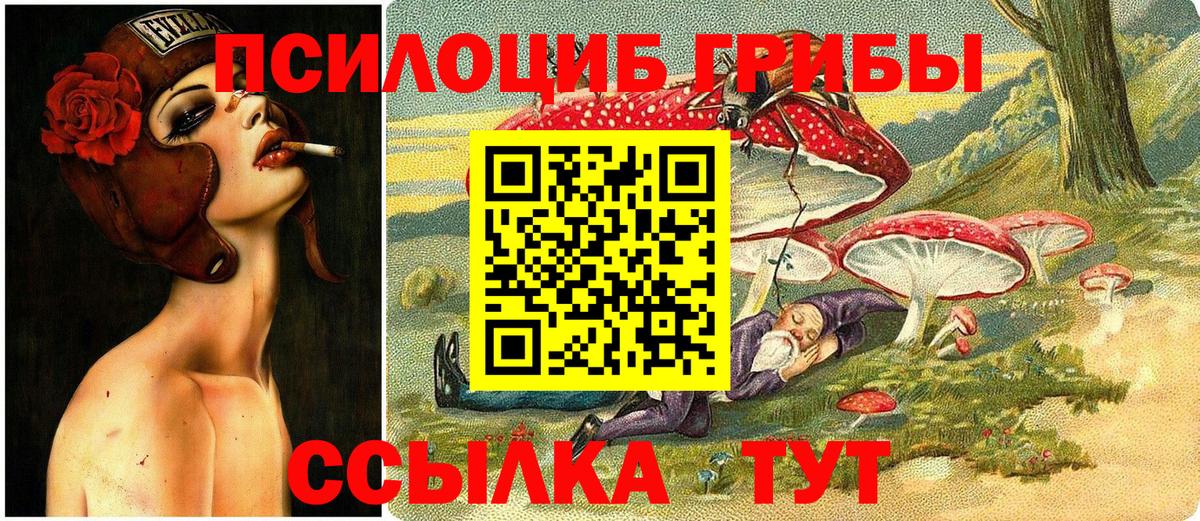 Псилоцибиновые грибы ЛСД Алексеевка