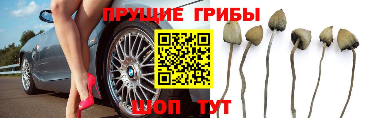 Псилоцибиновые грибы ЛСД  Галлюциногенные грибы Cubensis  Вход с VPN  Алексеевка 